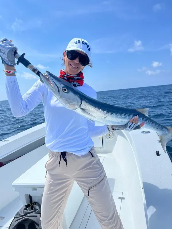Beautiful colors on this Barracuda