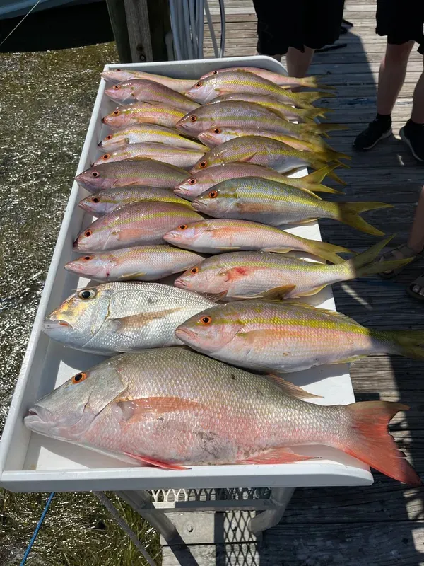 A successful reef trip!