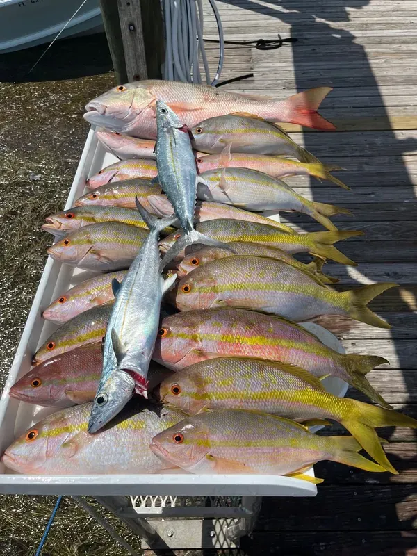 I think I see some fish tacos in the future!