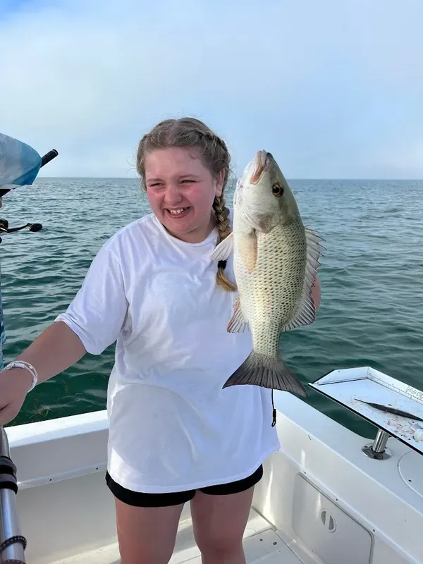 Mangrove Snapper, an underrated favorite!