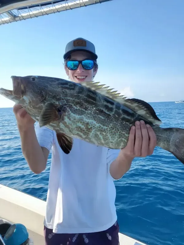 Black grouper