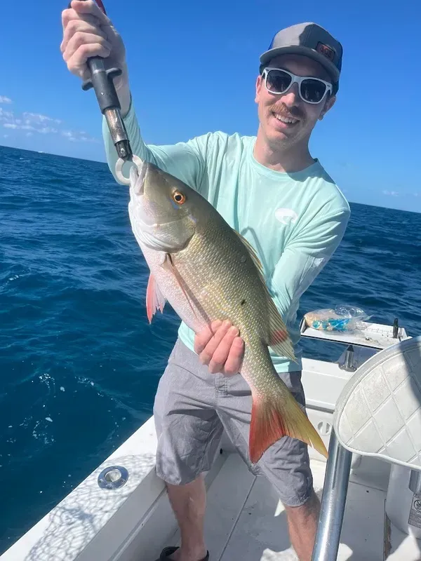 Mutton Snapper on the flatline!